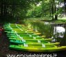 Sodybos, stovyklavietės, baidarių nuoma Dzūkijoje-0