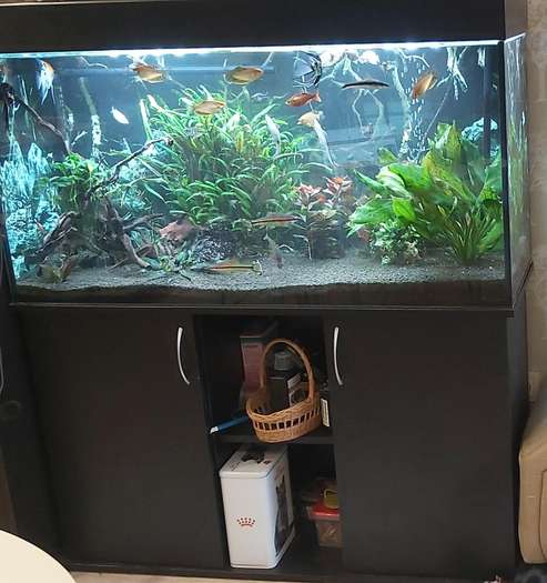 Akvariumas 288 l su spintele-0