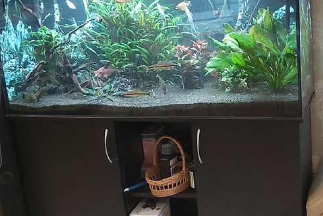 Akvariumas 288 l su spintele-0