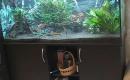 Akvariumas 288 l su spintele-0