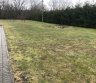 40 arų ploto vejos atnaujinimas-0