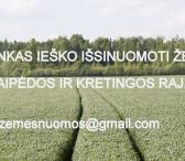 ŪKININKAS IEŠKO IŠSINUOMOTI ŽEMES KRETINGOS IR KLAIPĖDOS RAJ. !!!-0