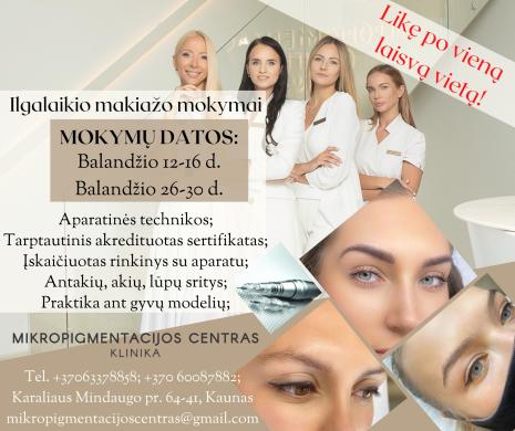 Baziniai ilgalaikio makiažo mokymai Kaune-0