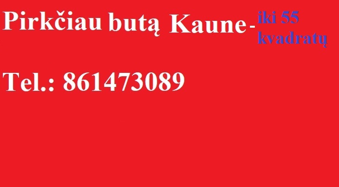 pirkciau buta Kaune iki 55 kvadratu. 861473089-0