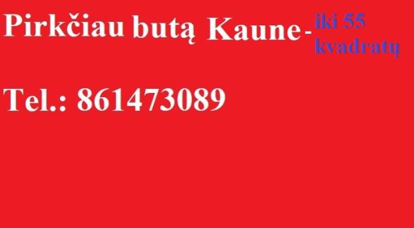 pirkciau buta Kaune iki 55 kvadratu. 861473089-0