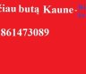 pirkciau buta Kaune iki 55 kvadratu. 861473089-0
