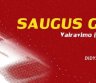 Knyga „Saugus Greitis“ – atsakingam vairuotojui-0
