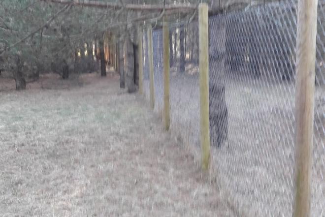 Parduodamas sklypas Agluonėnų kaime, Klaipėdos raj.-0