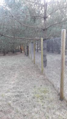 Parduodamas sklypas Agluonėnų kaime, Klaipėdos raj.-0