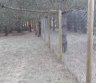 Parduodamas sklypas Agluonėnų kaime, Klaipėdos raj.-0