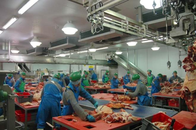 DARBAS VOKIETIJOJE MESOS FABRIKE SKUBUS ISVYKIMAS-0
