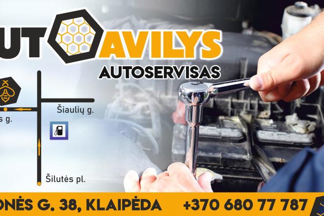Darbas Automechanikui-0