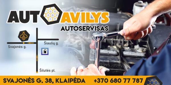 Darbas Automechanikui-0