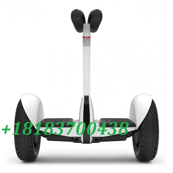 Quality Mini PRO Self-balancing Scooter-0