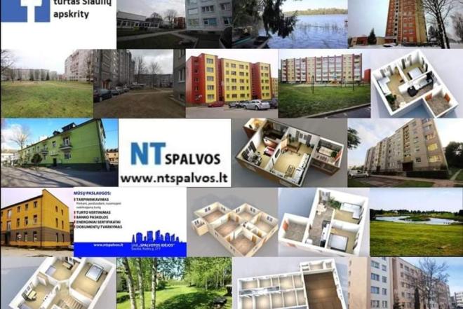 NT Brokerė Anželika-0