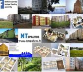NT Brokerė Anželika-0