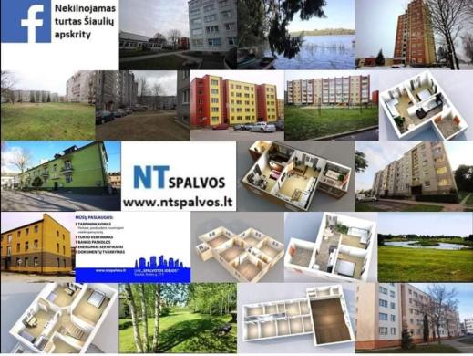 NT Brokerė Anželika-0
