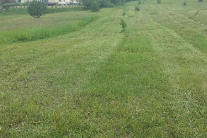 Ūkininkas ieško nusipjauti pieva, žole Kretingos , Klaipėdos raj.-0