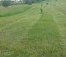 Ūkininkas ieško nusipjauti pieva, žole Kretingos , Klaipėdos raj.-0