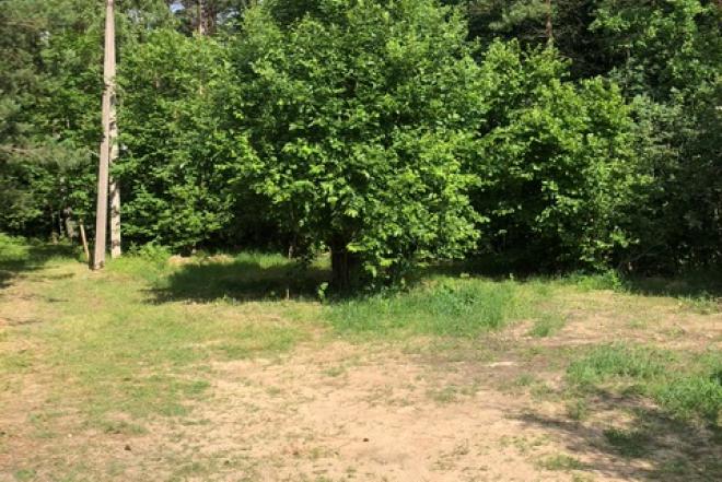 Parduodama žemė sodu bendrija-0