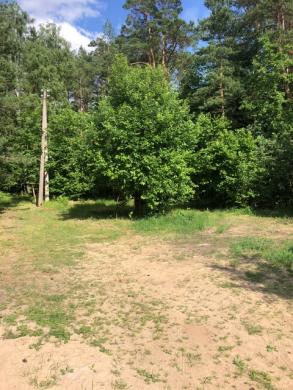 Parduodama žemė sodu bendrija-0