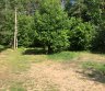 Parduodama žemė sodu bendrija-0