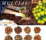 MULČIAS gamintojo kainomis. Didmeninė ir mažmeninė prekyba-0