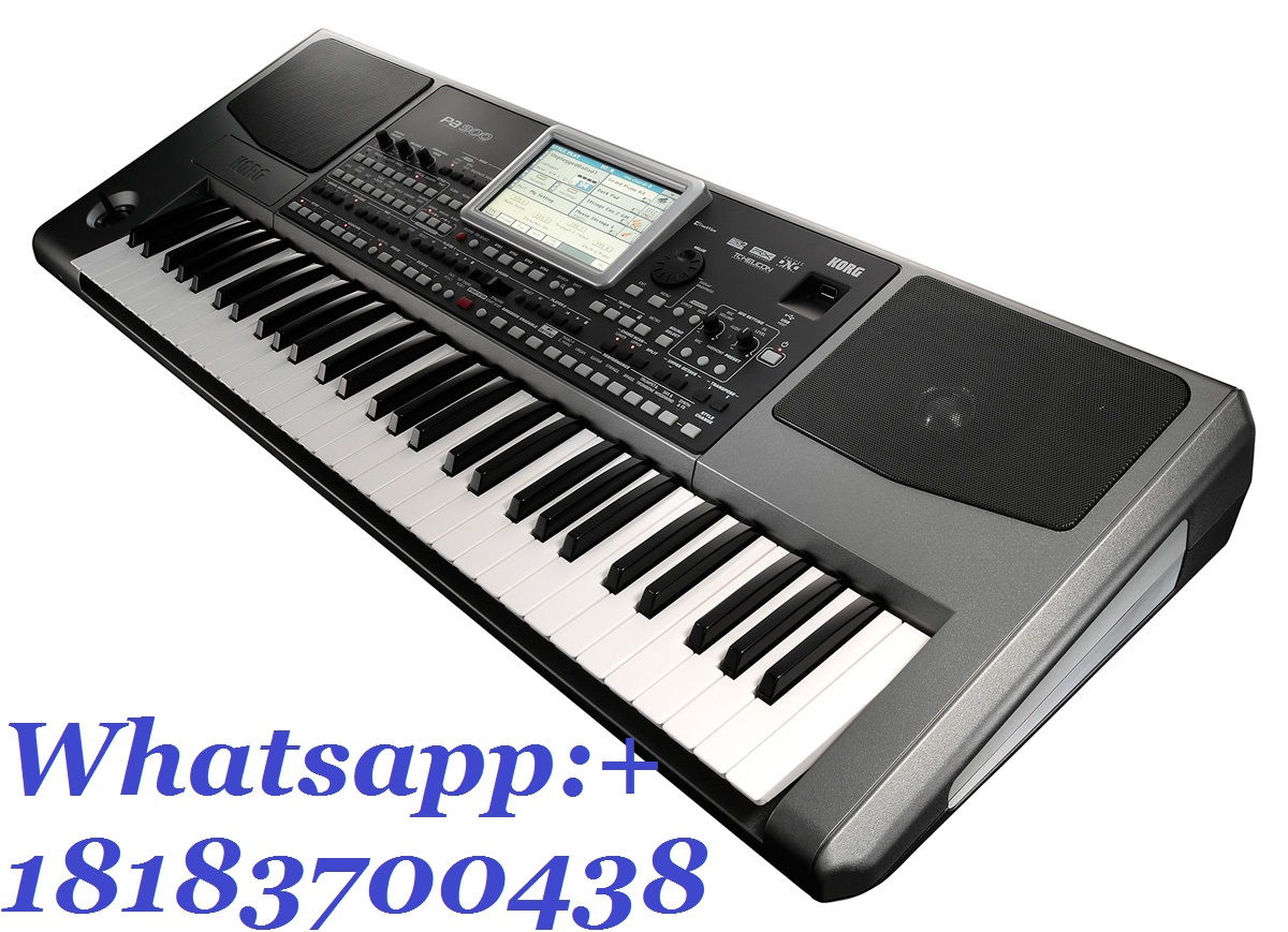 Electric Korg Pa 700-0
