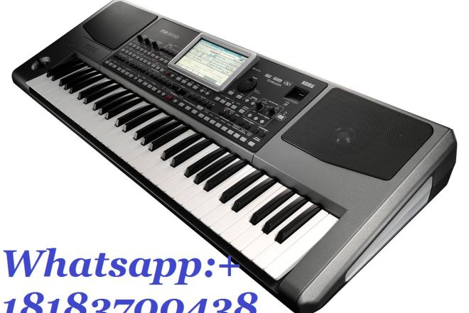 Electric Korg Pa 700-0