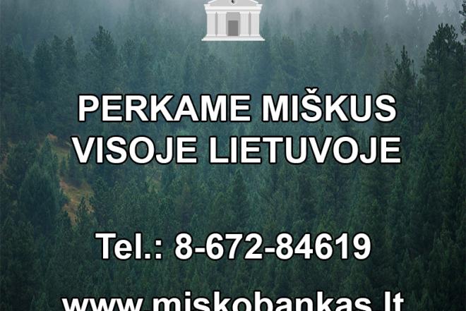 Perku miškus visoje Lietuvoje-0