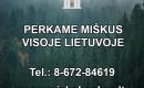 Perku miškus visoje Lietuvoje-0