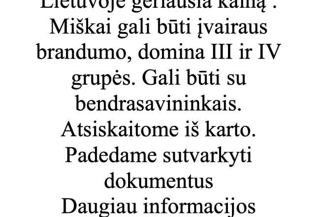 Brangiai ir visoje Lietuvoje perkame mišką-0