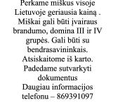 Brangiai ir visoje Lietuvoje perkame mišką-0