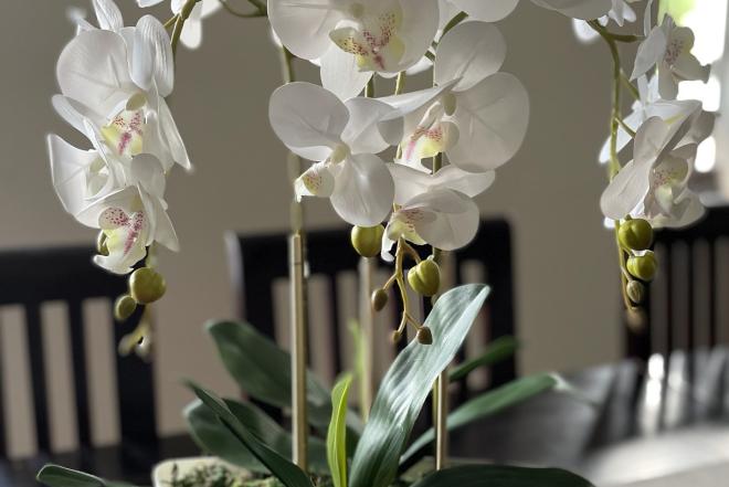 Dirbtinė orchidėja-0