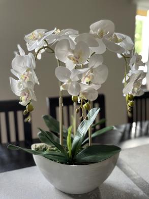 Dirbtinė orchidėja-0