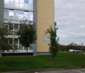 Parduodu 4k. butą Akmenės m.-0