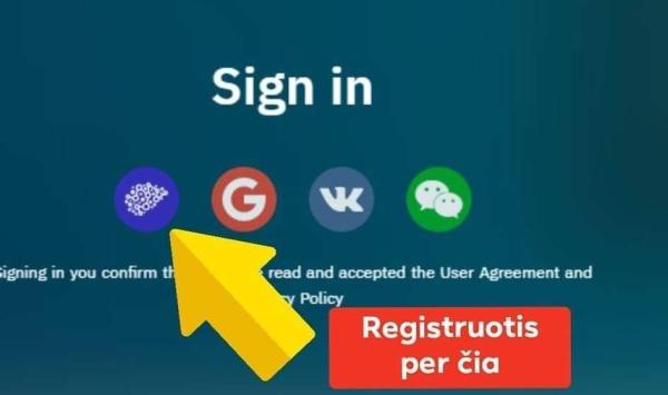 Investicinis uždarbis internetu-0