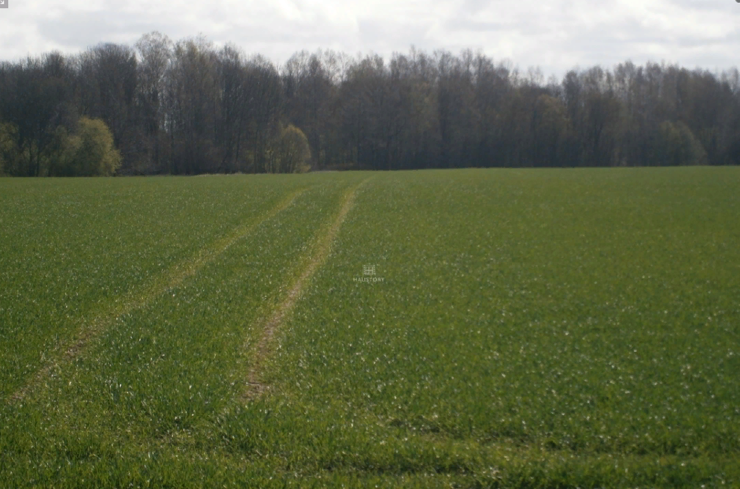 Isnuomuoju 6,8 ha sklypa Azulaukeje Vilniaus rajone-0