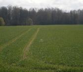 Isnuomuoju 6,8 ha sklypa Azulaukeje Vilniaus rajone-0