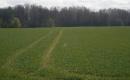 Isnuomuoju 6,8 ha sklypa Azulaukeje Vilniaus rajone-0
