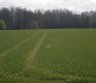 Isnuomuoju 6,8 ha sklypa Azulaukeje Vilniaus rajone-0