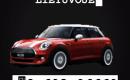 WE BUY ANY CAR IN LITHUANIA CASH FOR CARS IN LITHUANIA FAST PAYMENT NO STRESS WE WILL BUY YOUR UNWANTED CAR FAST AND EASY-0