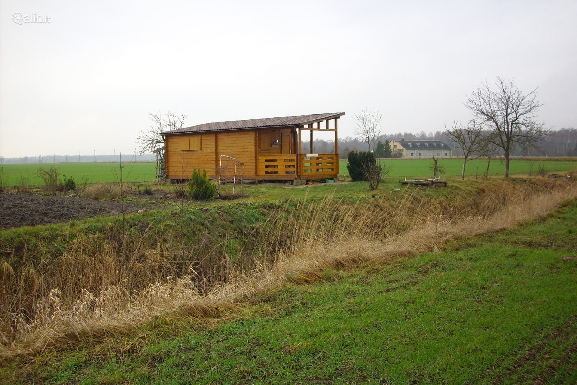 184 A.PLOTE 10 SKLYPU PRIE MISKO SODYBOMS SODAMS-0