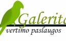 Greitas vertimas-0