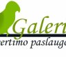 Greitas vertimas-0