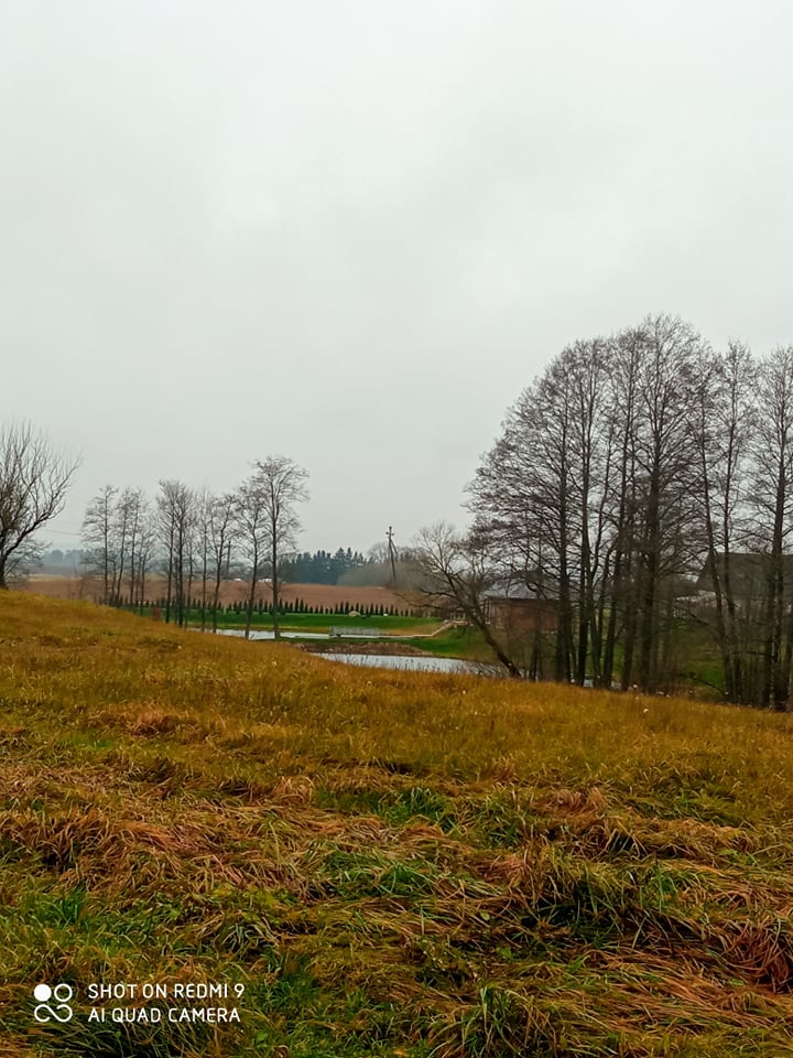 Žemės sklypai Takniškių k., Alovės sen., Alytaus r.  sav.-0