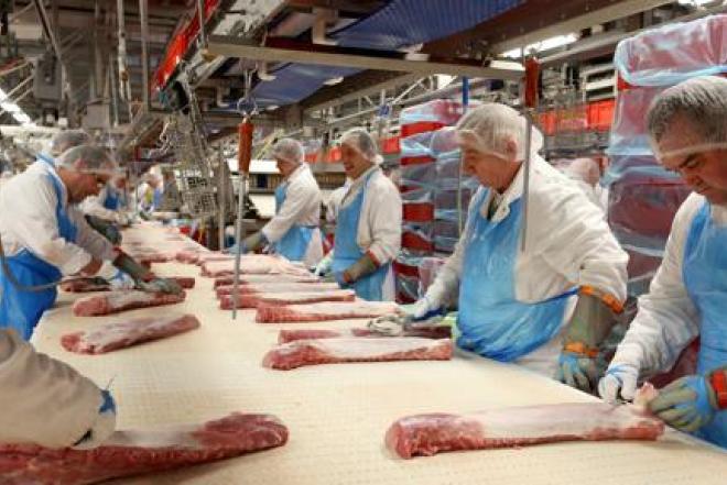 DARBAS TONNIES MĖSOS KOMBINATE VOKIETIJOJE-0