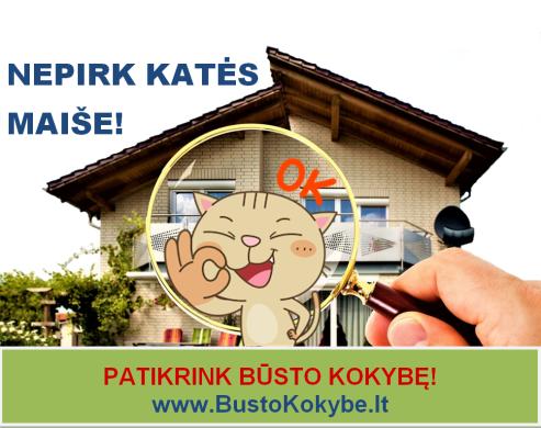 Konsultacija perkant būstą-0