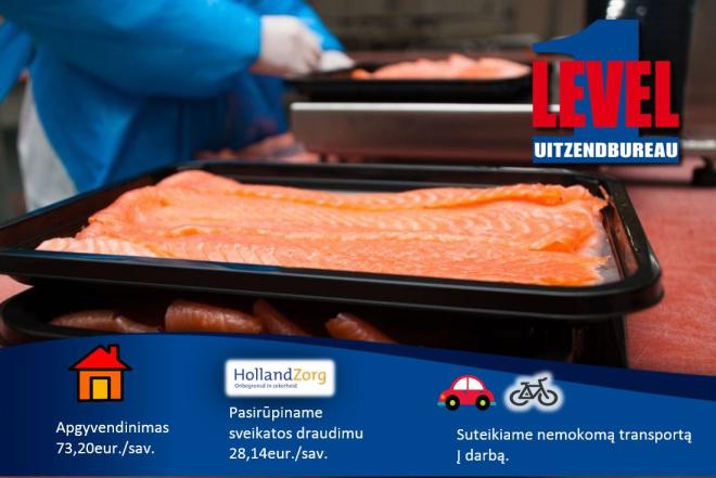 Darbas užsienyje-0