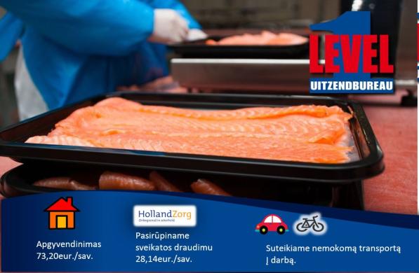 Darbas užsienyje-0